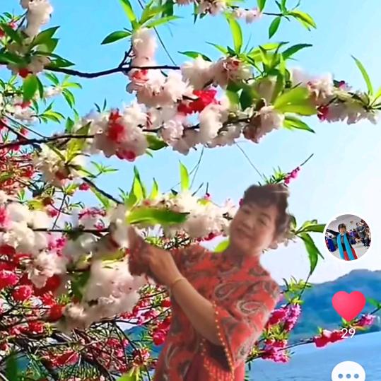 大杨好物芧箭区洁云网络销售店（个体工商户