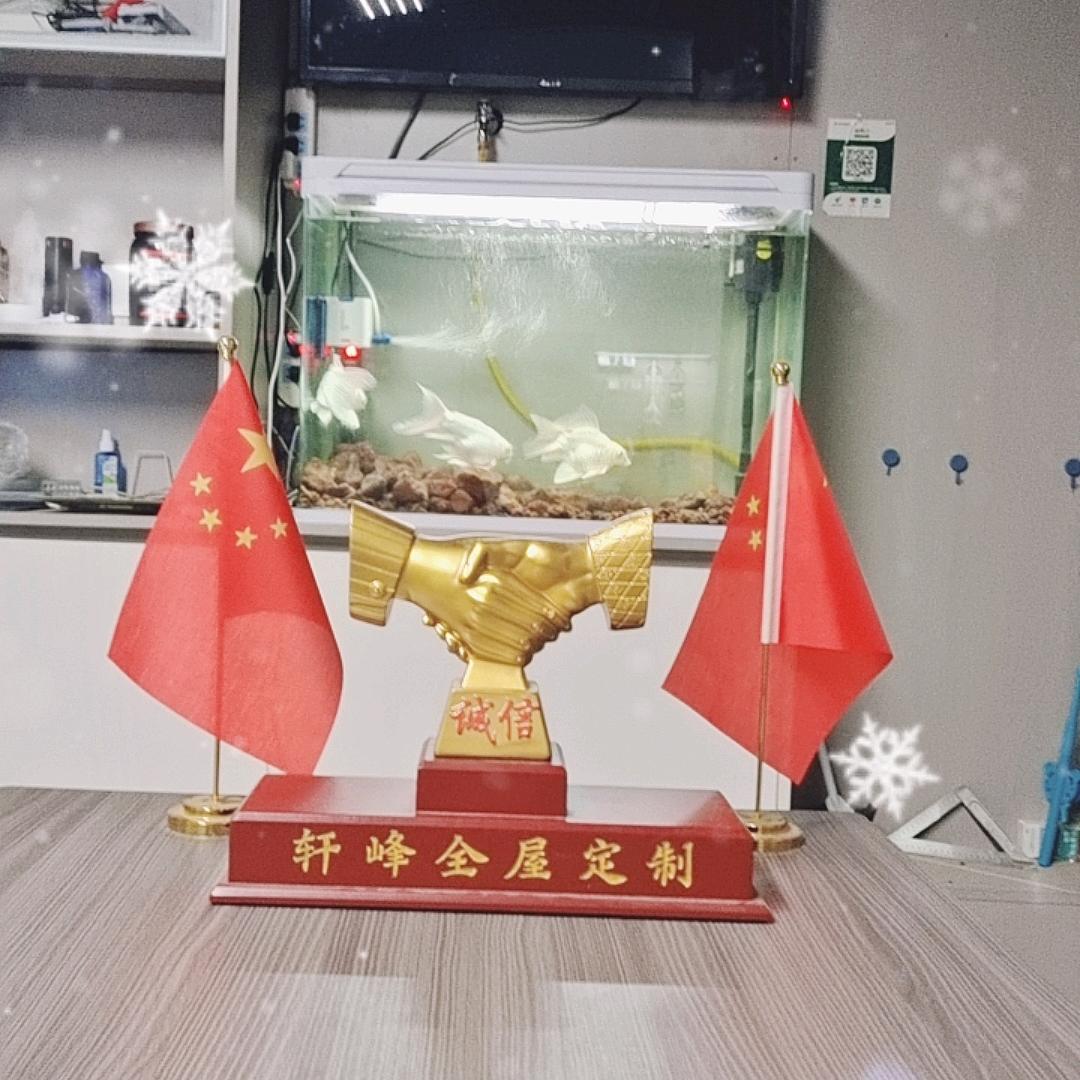 小鱼成长记