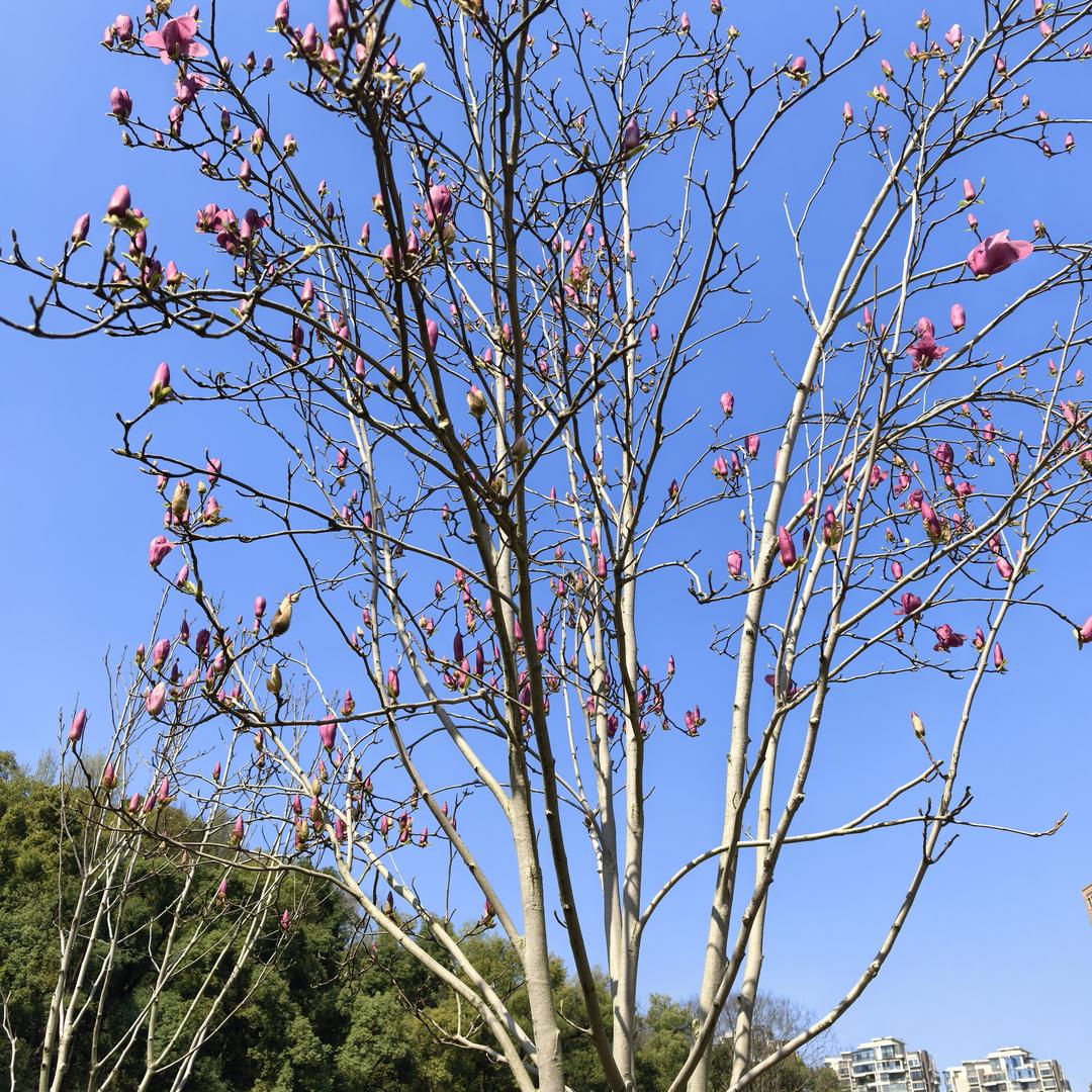 否极泰来