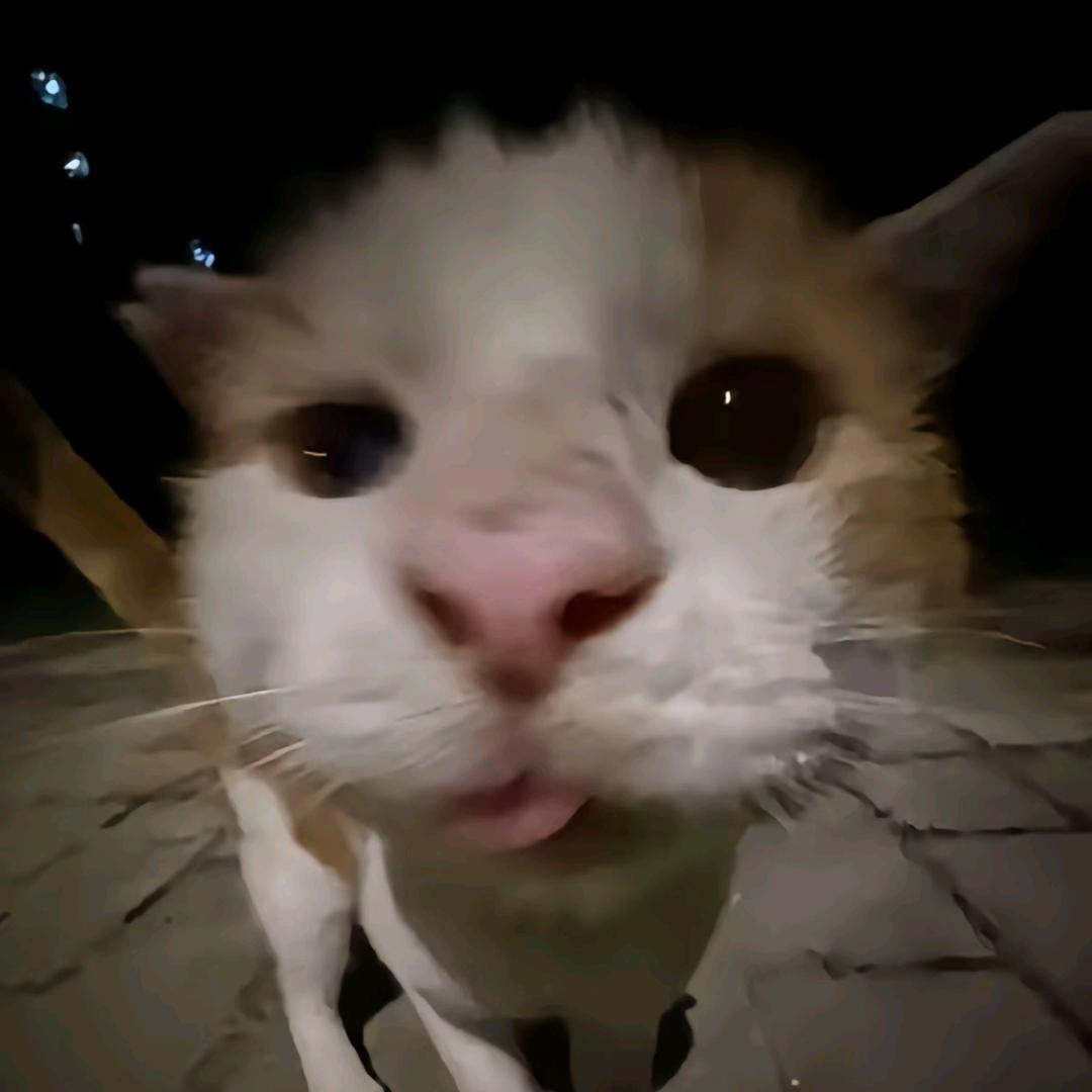 说你又不高兴