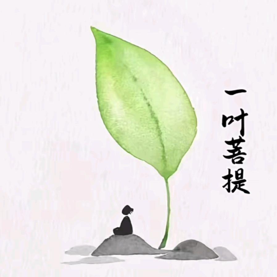 0破了