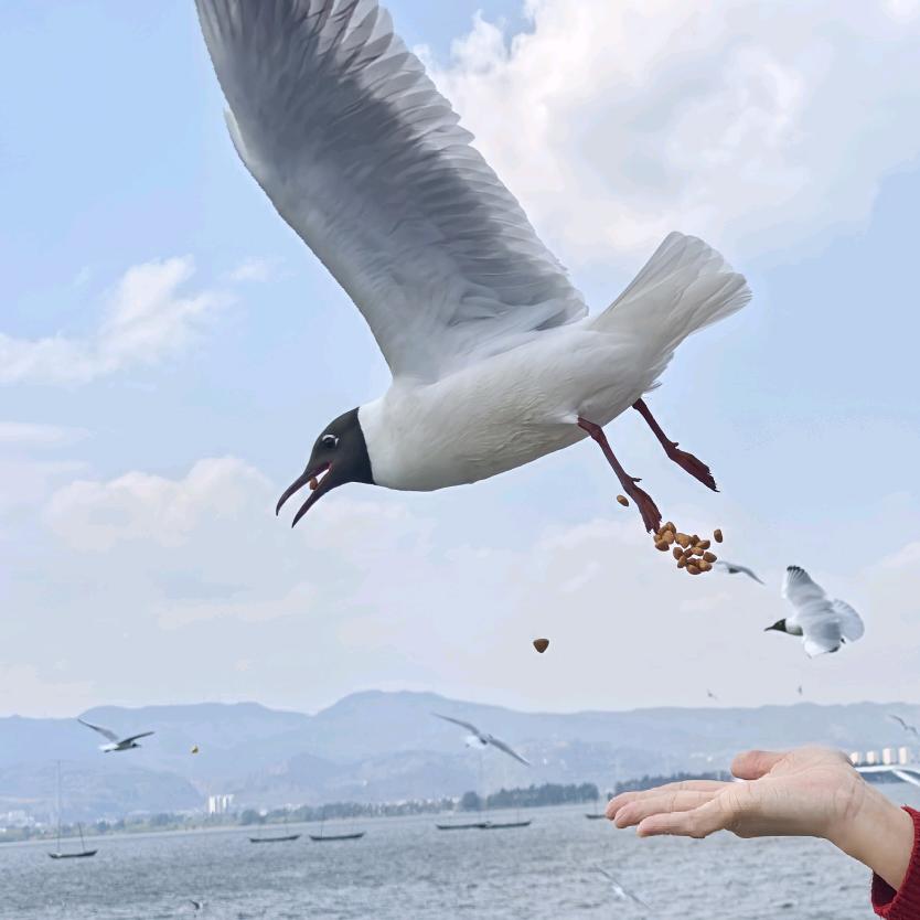 小法