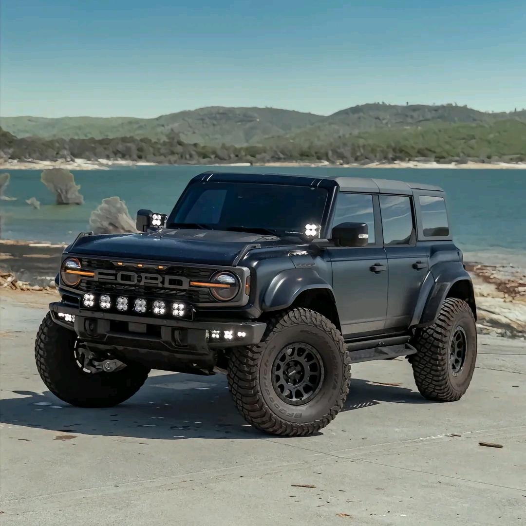 东南亚进口槟榔