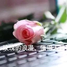 蔷薇杀手