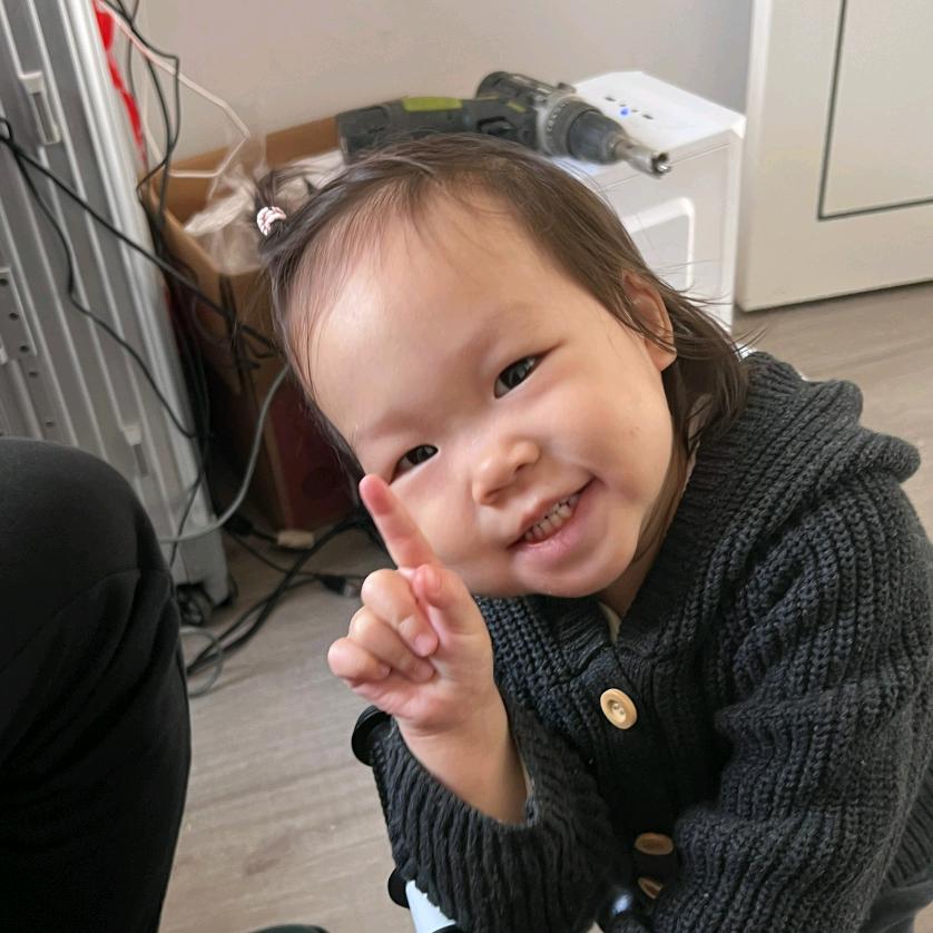 树叶黄了∴