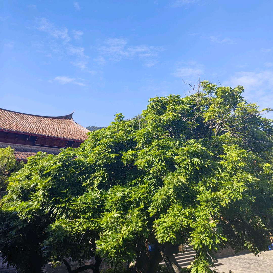 贝乐
