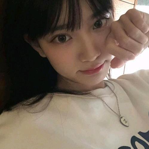 东北太阳花