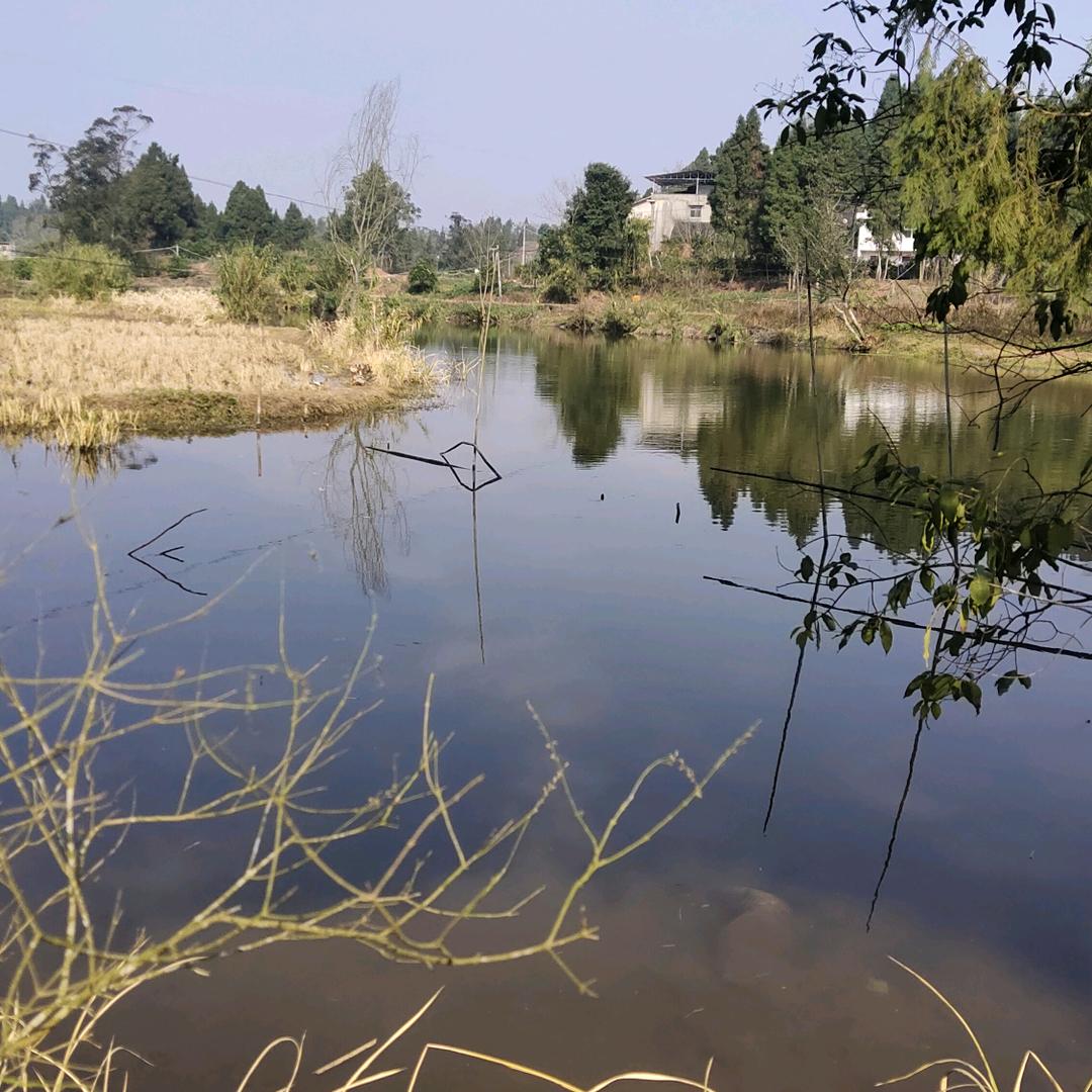 jianghu