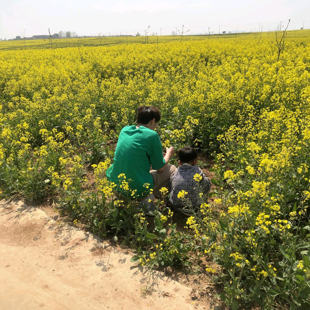 ❤ (ˆ⌣ˆc)程♥