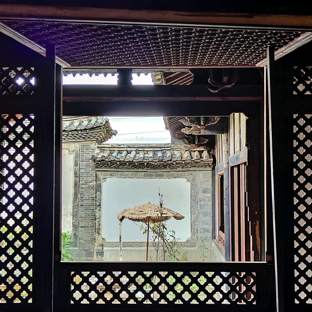 胡杨