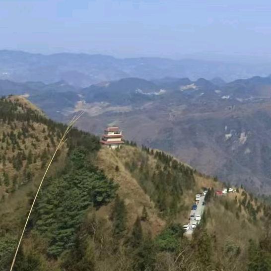 🌺🌷余生安好！🍀🍀🌾