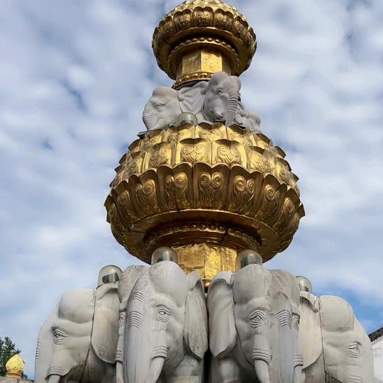雲中飛