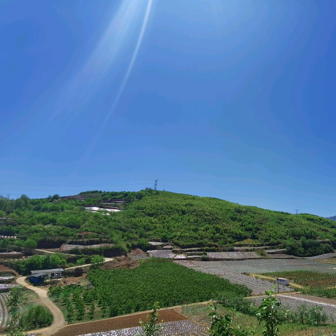 云上田园农场