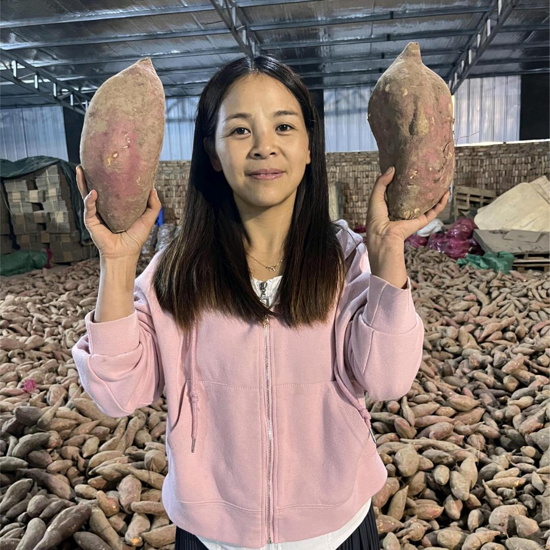 一亩禾田