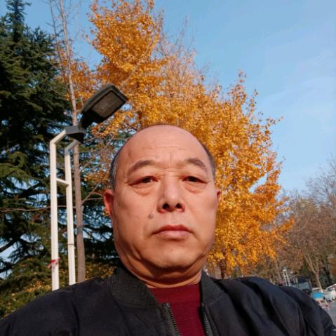 豆豆