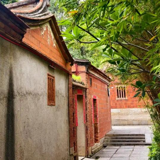 福建晋江品牌鞋