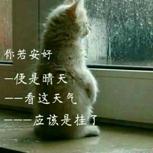 无辜大女孩头像