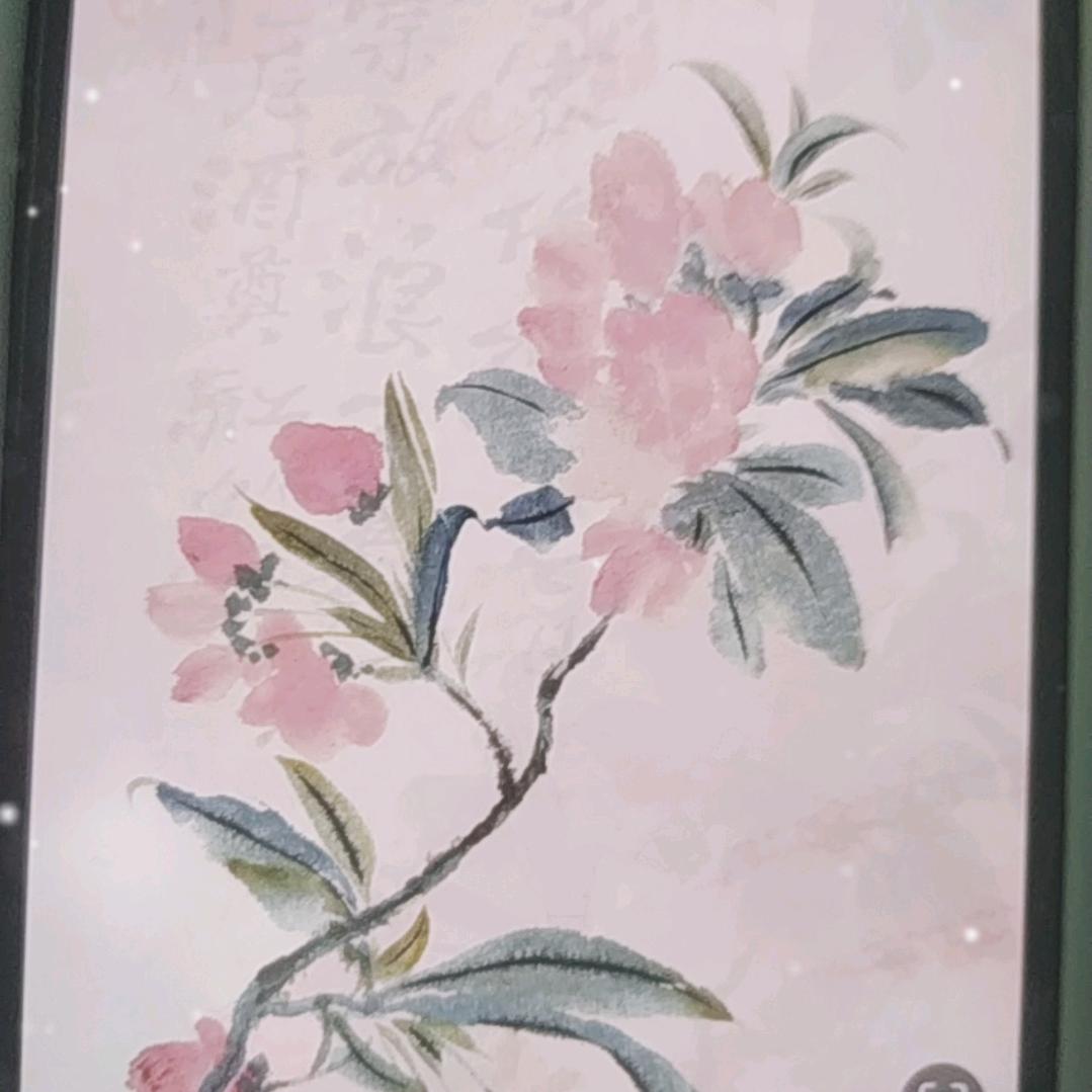 花开富贵1