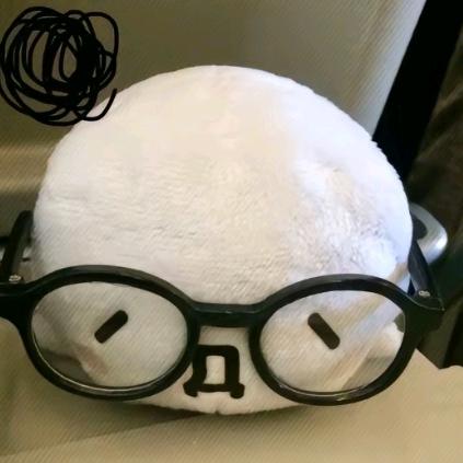 爱吃火腿的小白