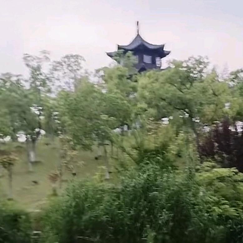 狼行天下涵哥