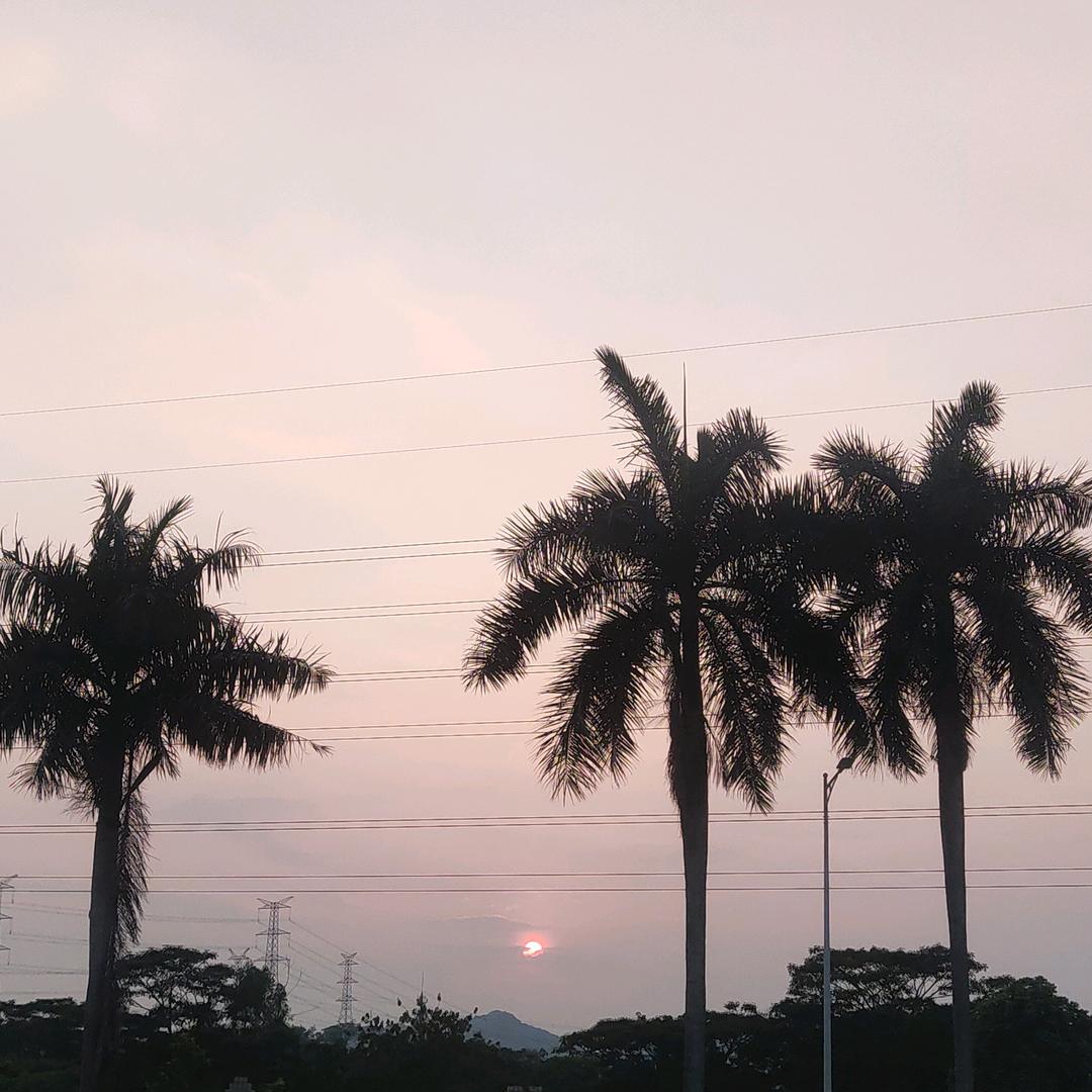 你的月亮我的🧡