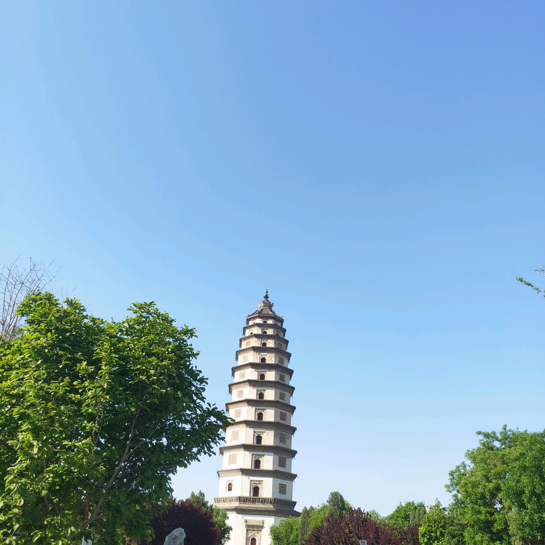 定州老兵天天乐哈哈