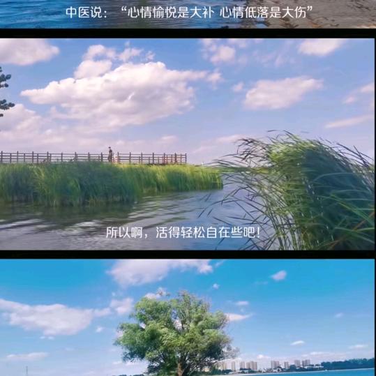 精品五幺幺
