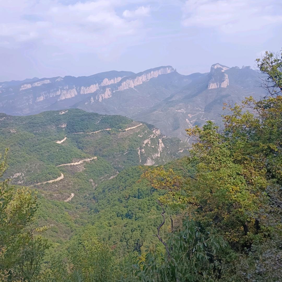 为我独尊