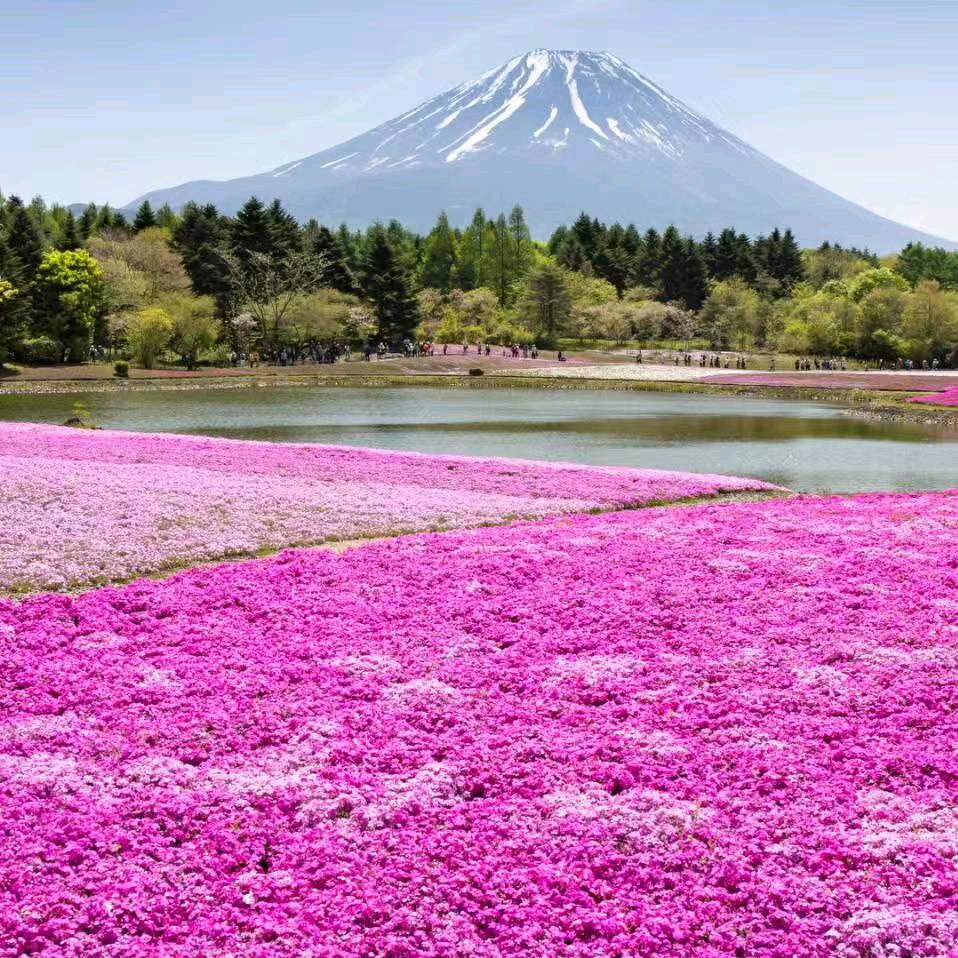 春天里