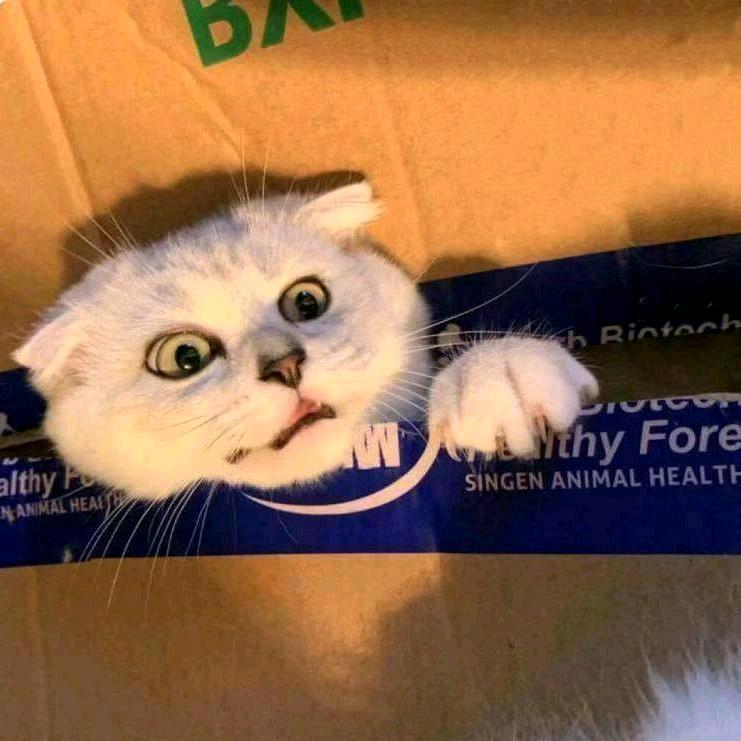 豪zzz