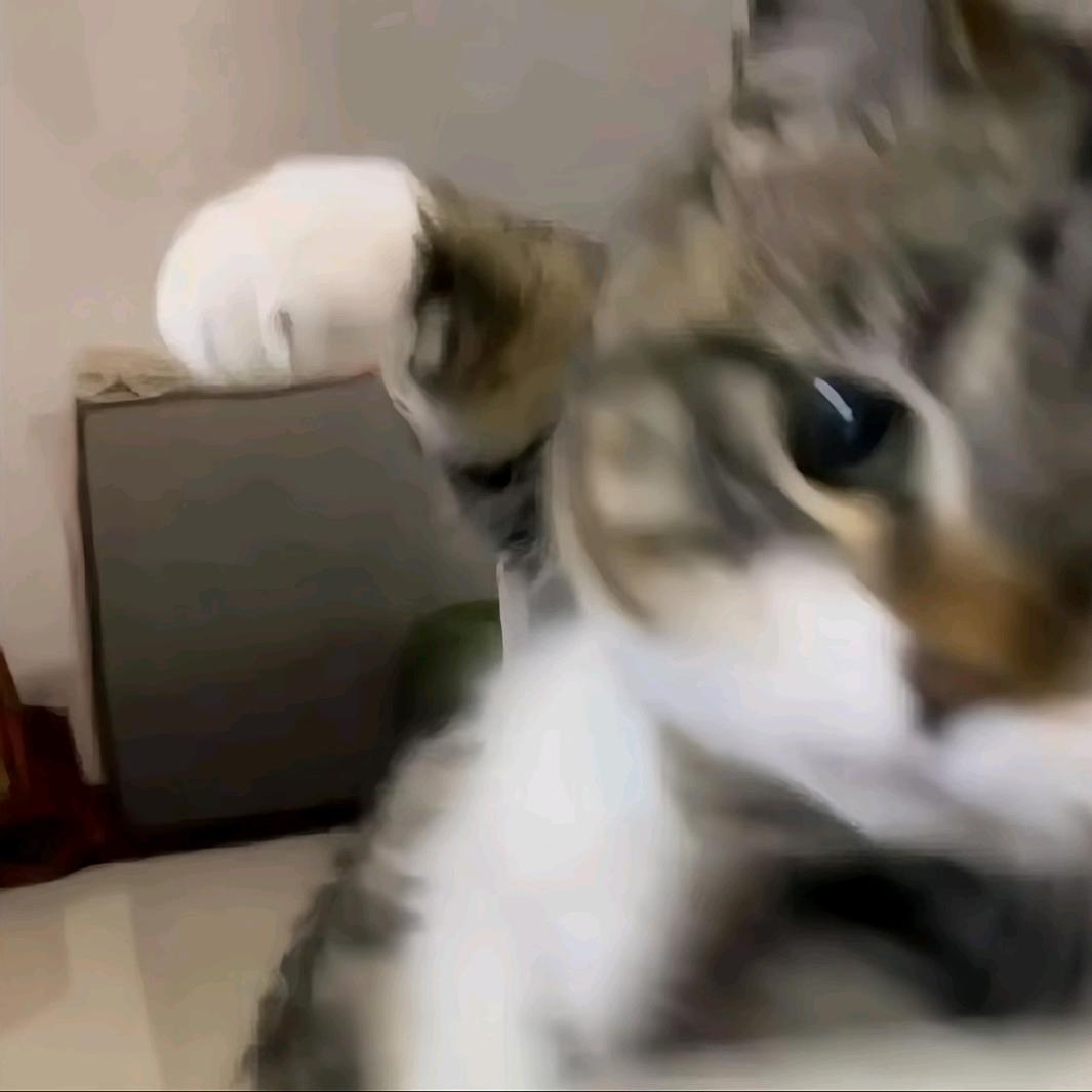 zᶻᶻ