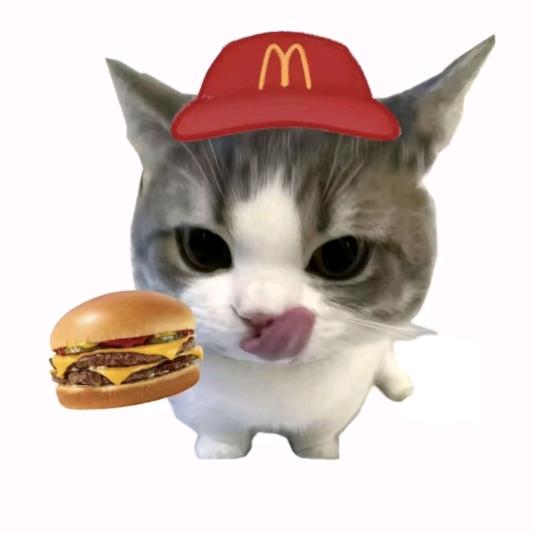 不喝奶茶的呼噜鱼🐟