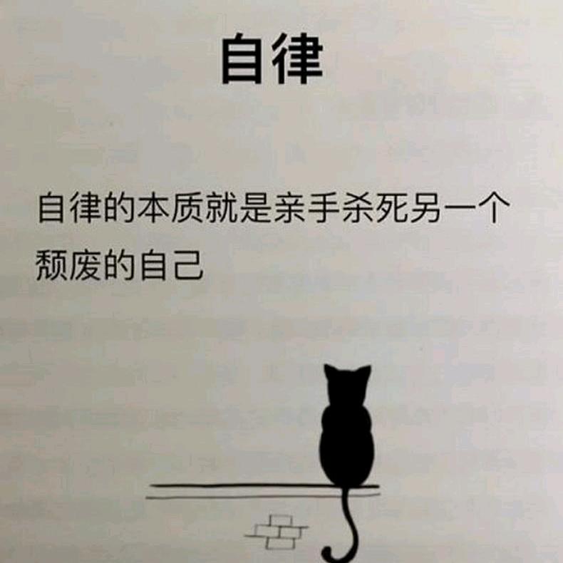 所遇皆美好