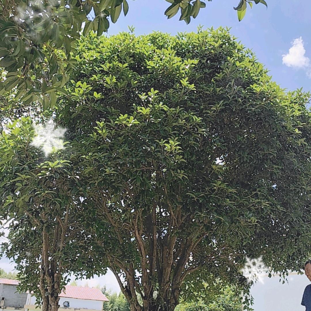慢慢