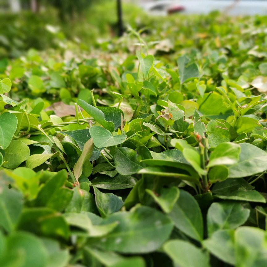 一路上有你