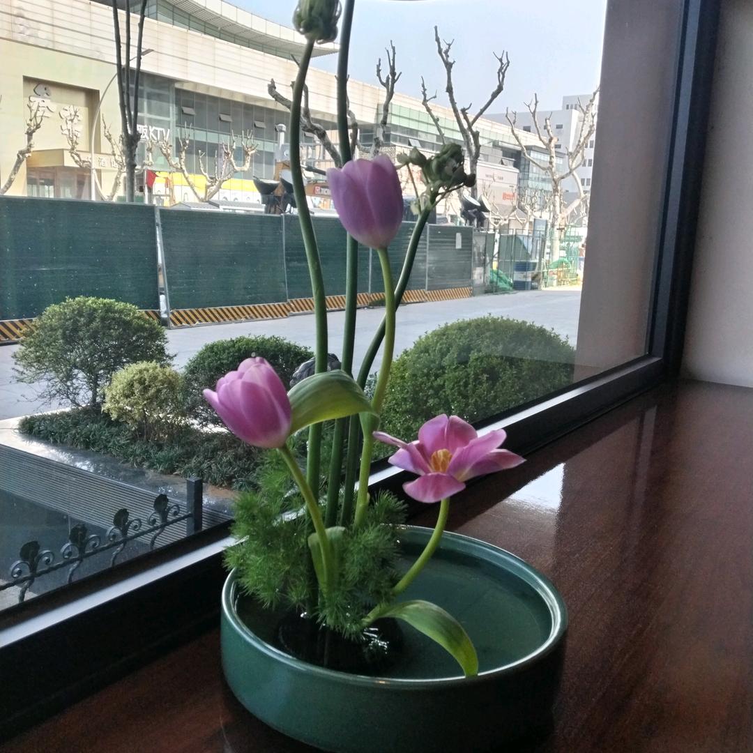 自在如风
