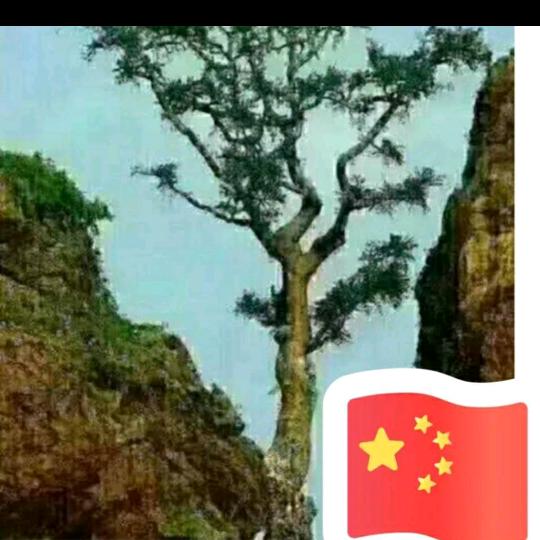 奋斗☞人生