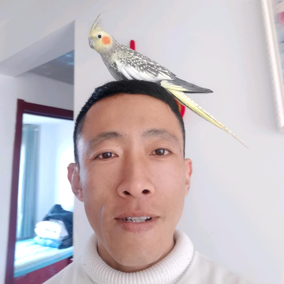 溜了溜了