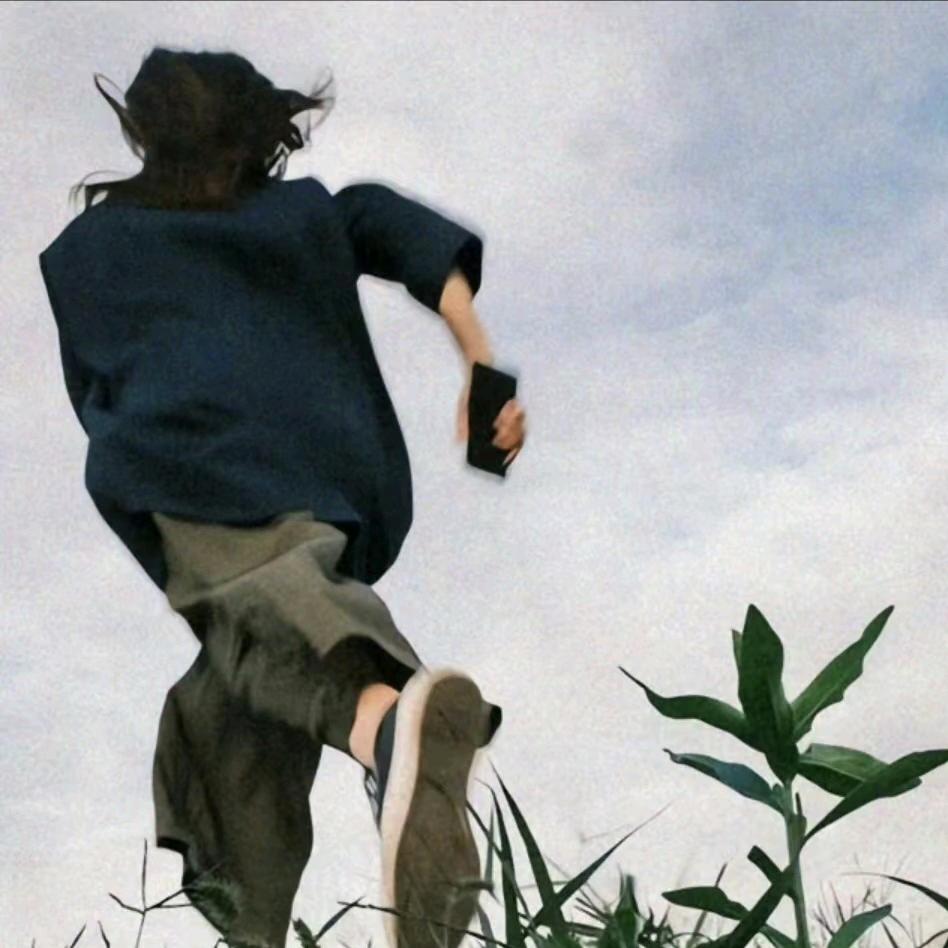 没有感情的绘图机器🛠