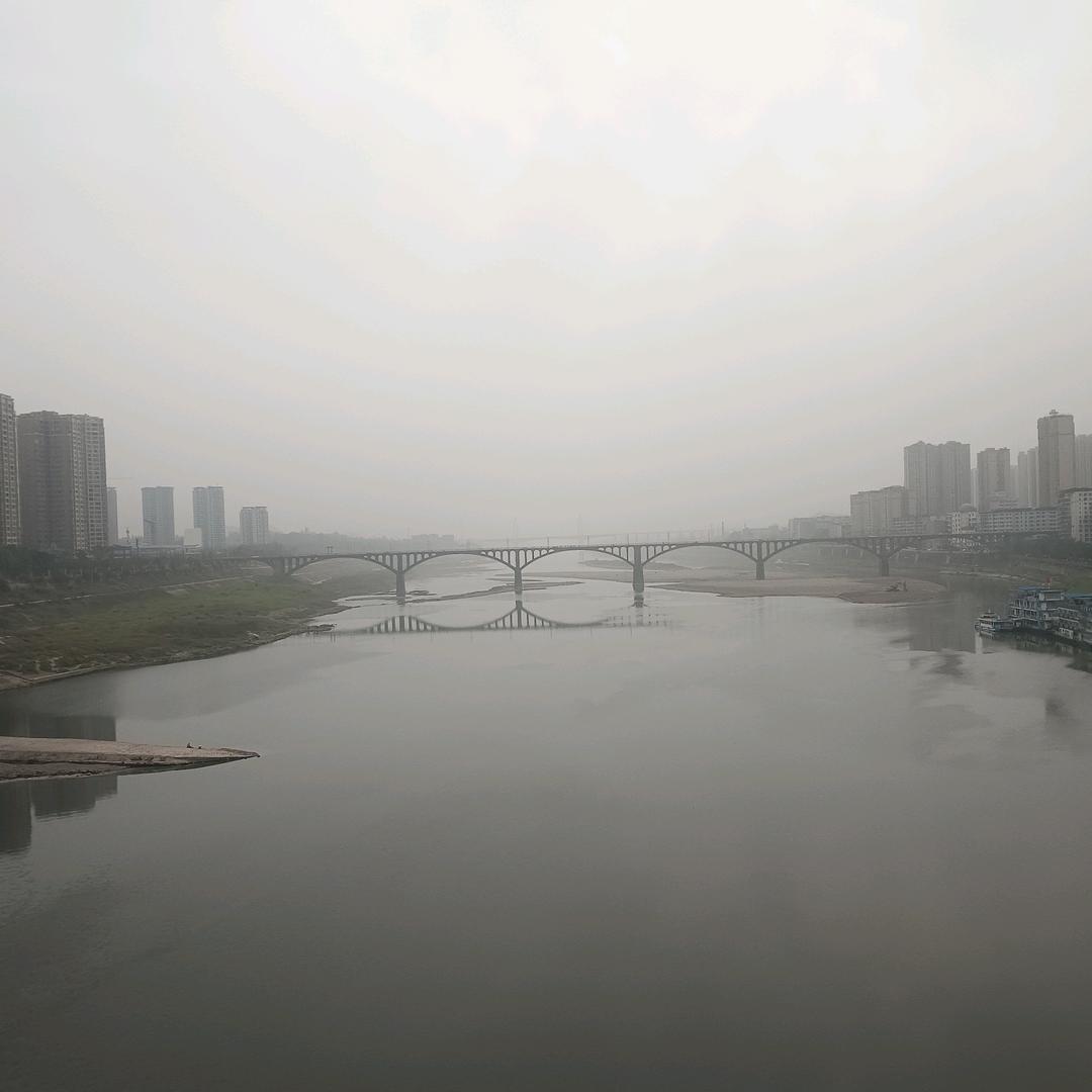 鱼云头像