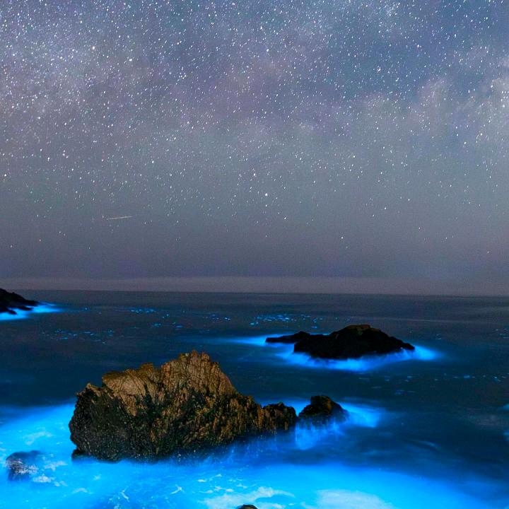 风花血月