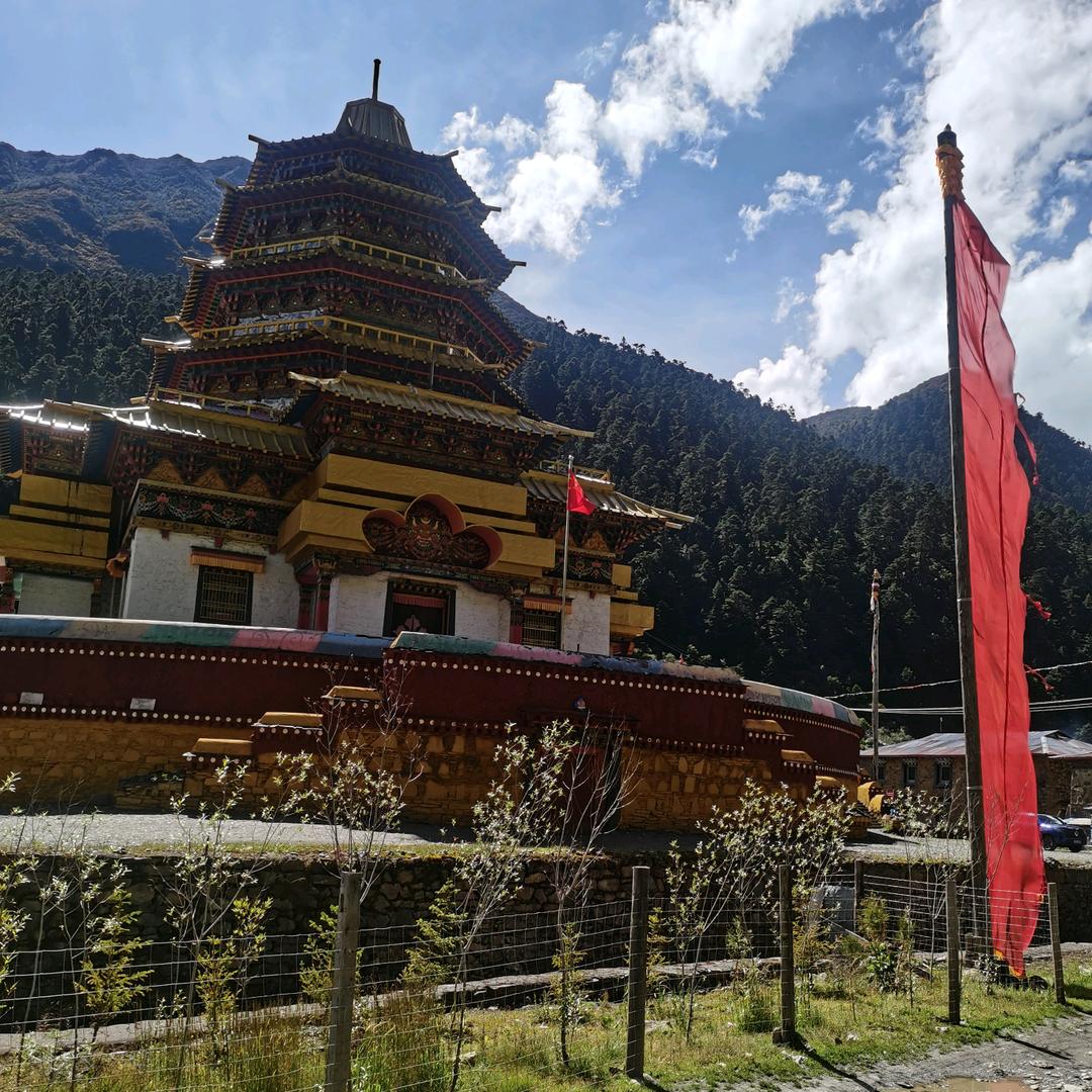 🌹开🌹心🌺果🌻