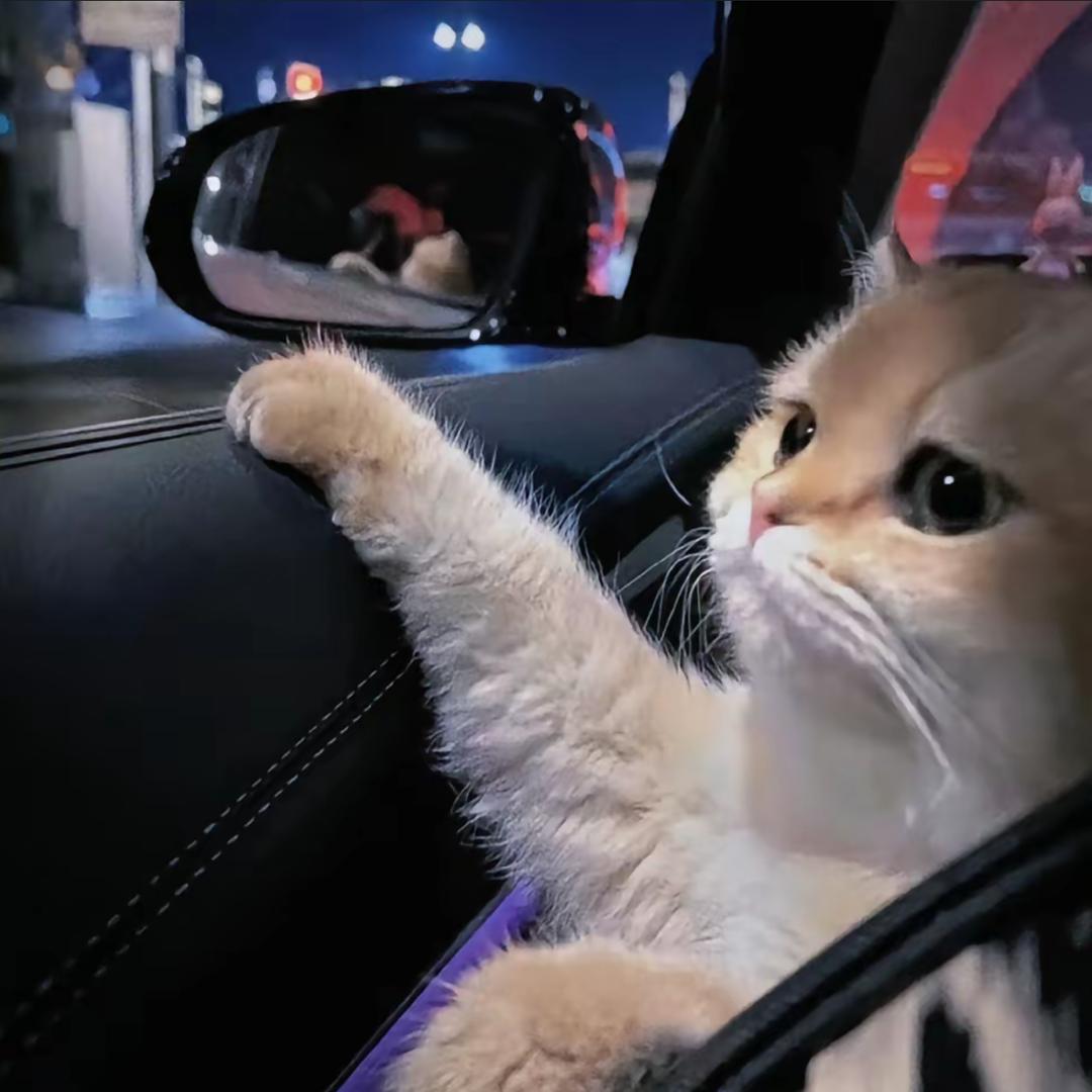 小㷱（可约拍📷）