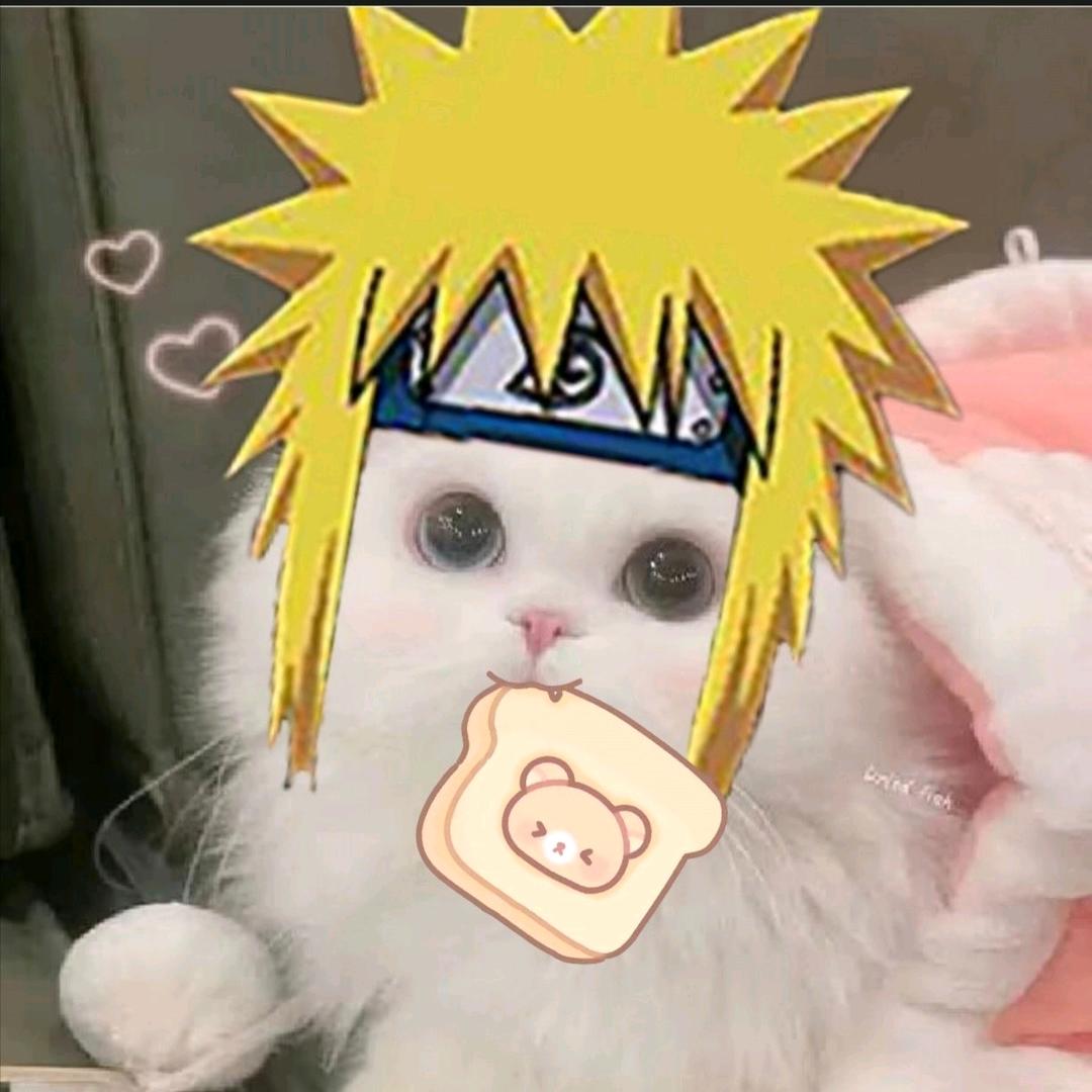 猫.水门
