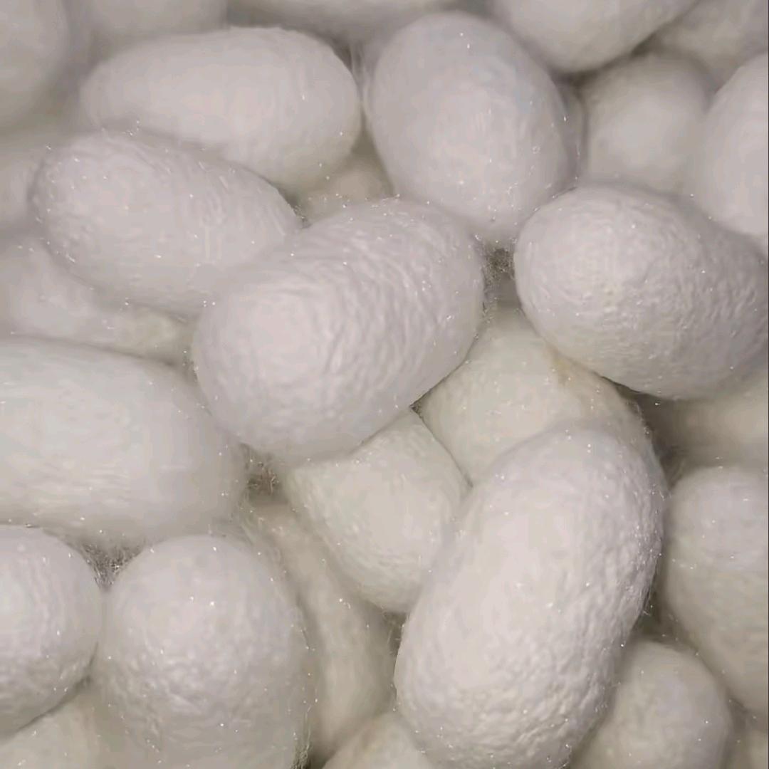 ࿐: 🌺এ᭄²⁰25໑多财多亿ღ᭄🌻