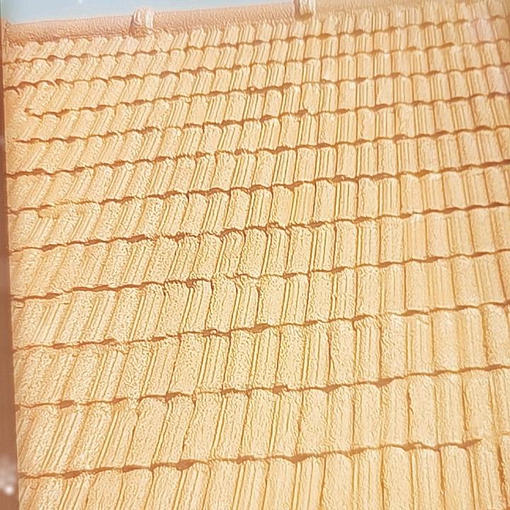 萊州朱由老李金剛橡膠屋頂