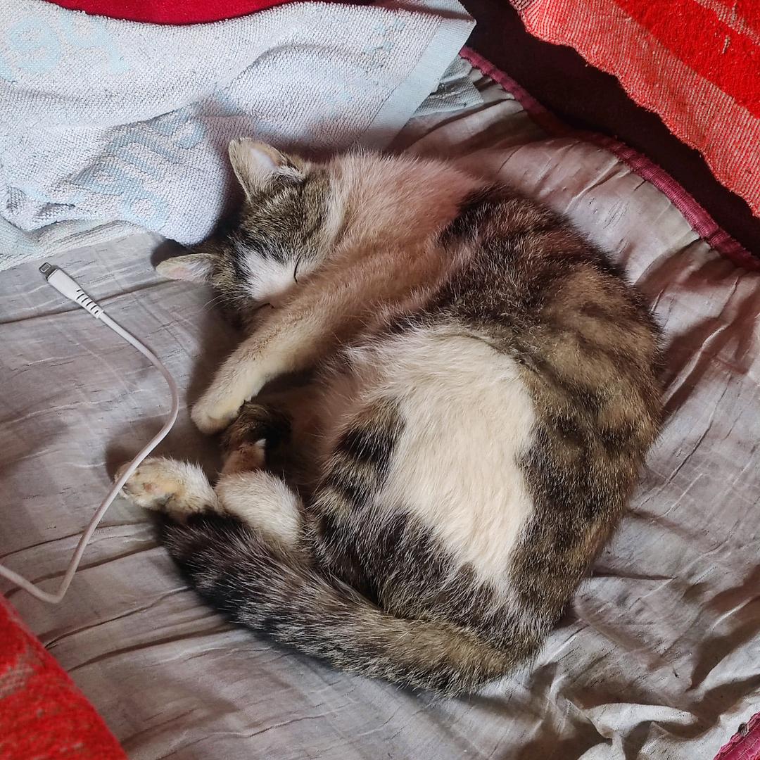 长不大的小 阝东