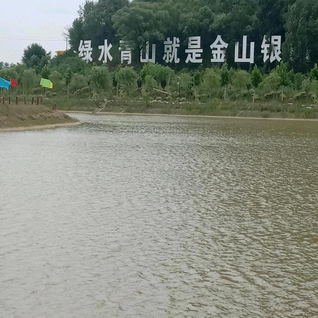 龙🐉的传人
