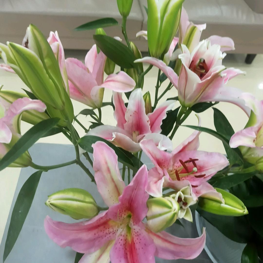 🍓风平浪静🇨🇳💫