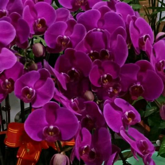 开心快乐每一天